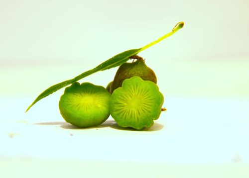 kiwi issai en fruit